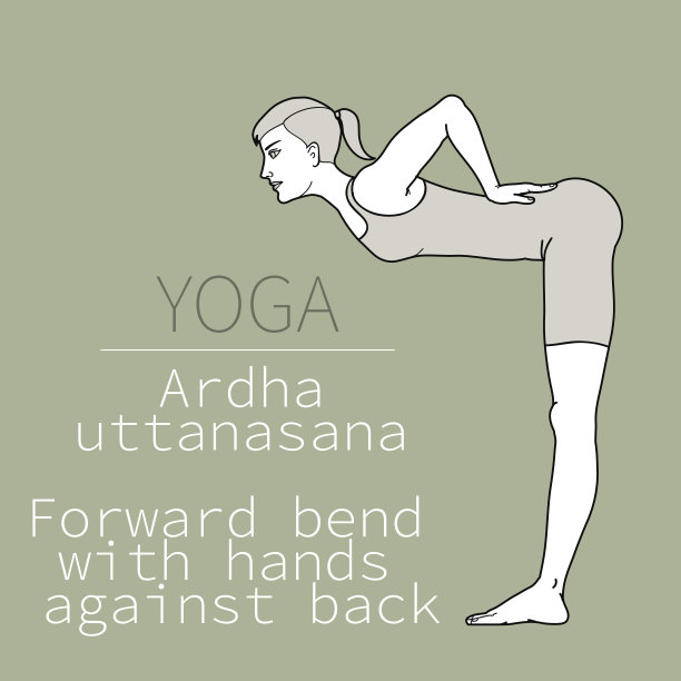 ardha uttanasana，向前弯曲，双手背靠图片下载