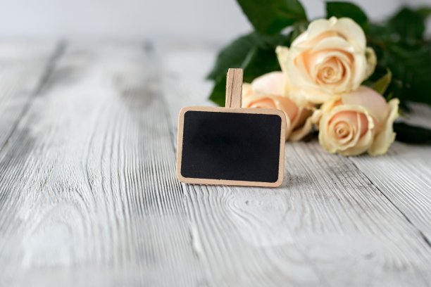 玫瑰和有信息空间的黑板图片下载