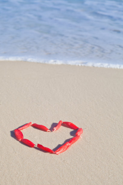 用海滩上的红色花瓣做成的心图片下载