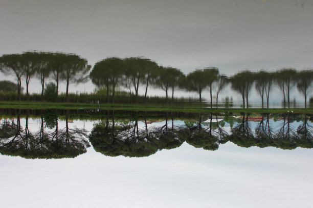 上下颠倒的图片下载