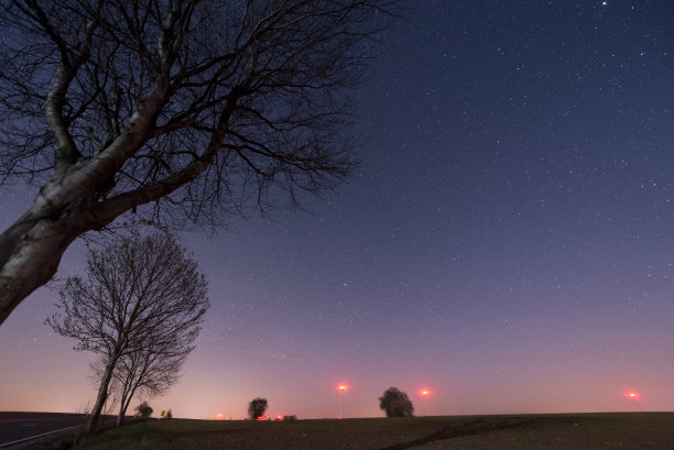 有树和星星的夜空图片下载