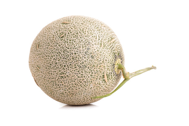 在白色背景上孤立的甜瓜图片下载