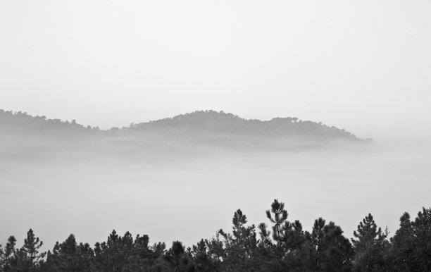 尼布拉图片下载