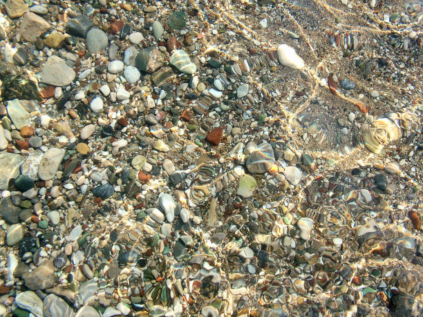 海滩上的鹅卵石图片下载