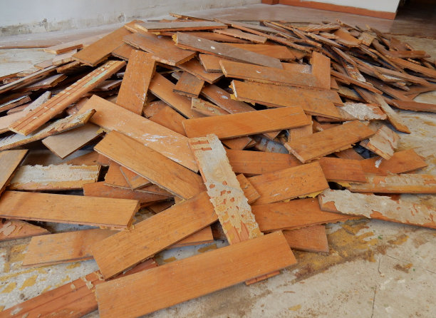 帕奎特在狗和德莫利托图片下载