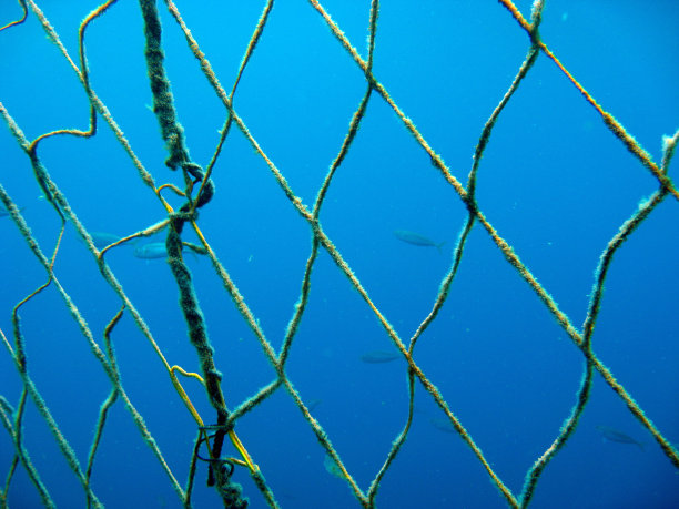 捕金枪鱼的网图片下载