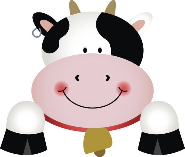 好奇的牛窥视图片下载