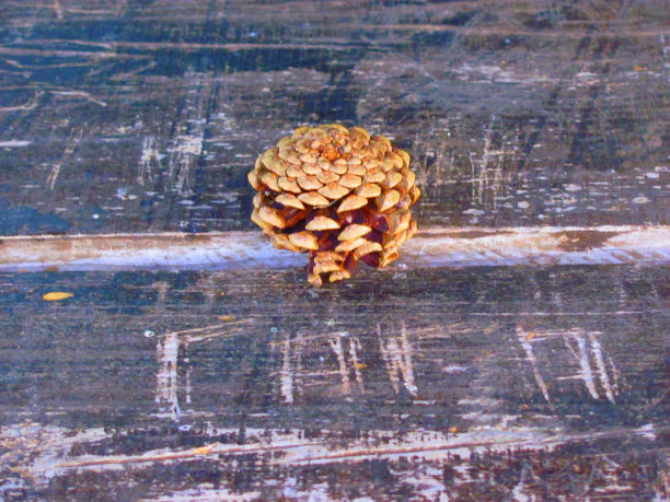 乡村野餐桌上图片下载