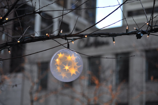 树上的轻的东西图片下载