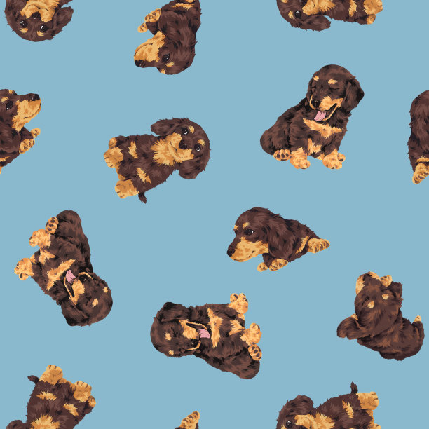 模式的狗图片下载