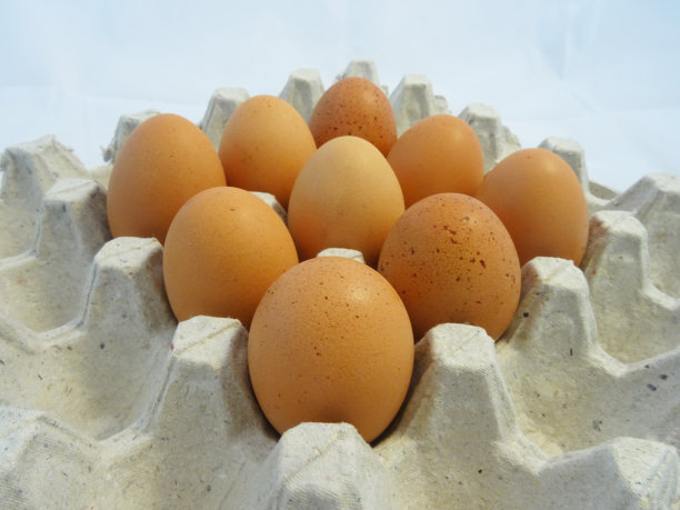 蛋盒里的蛋图片下载