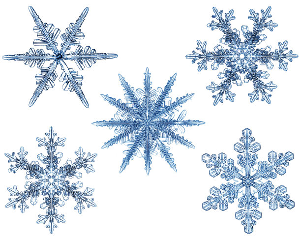 集雪花迎新概念图片下载