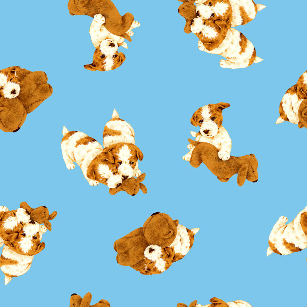 狗插图图片下载