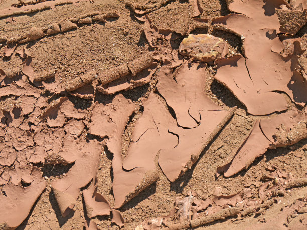 了地球图片下载