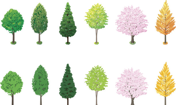 路边的树图片下载