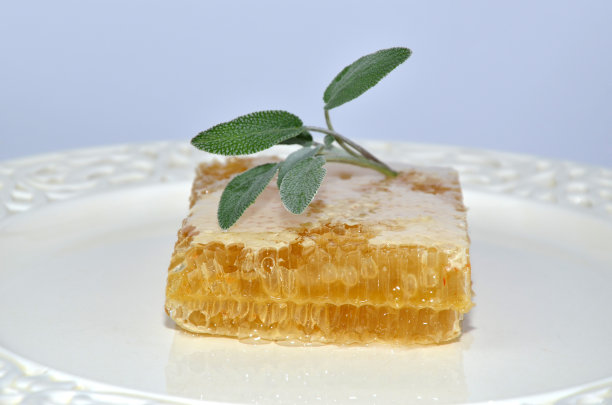 蜂窝和鼠尾草图片下载