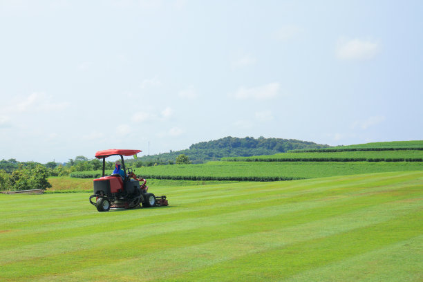 草坪图片素材ID：129449158