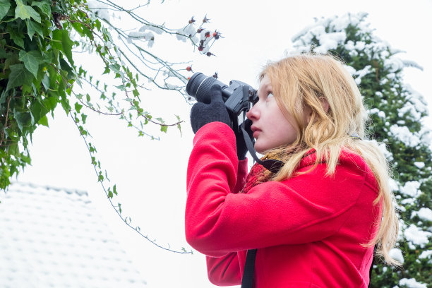 年轻女子在树枝上拍摄雪图片下载