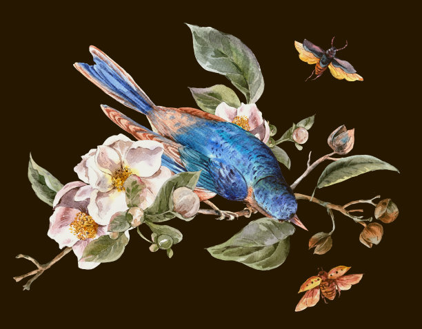 盛开的苹果树和鸟儿的复古贺卡图片下载