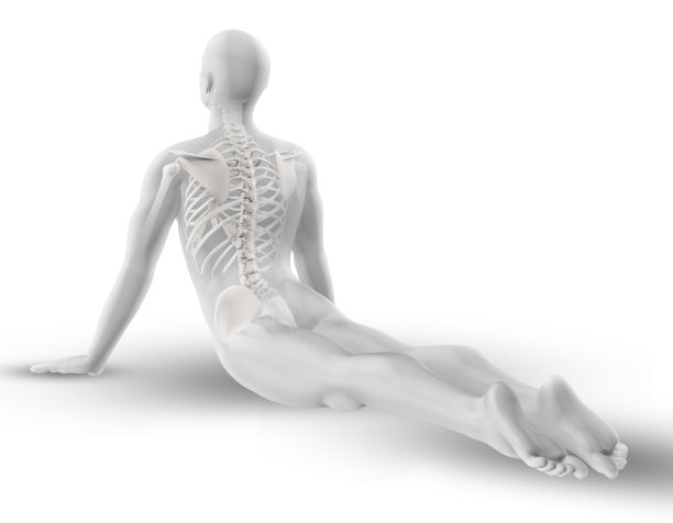 3D男性图形与部分骨架在瑜伽姿势图片下载