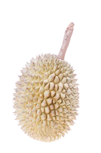 榴莲孤立在白色背景上图片下载