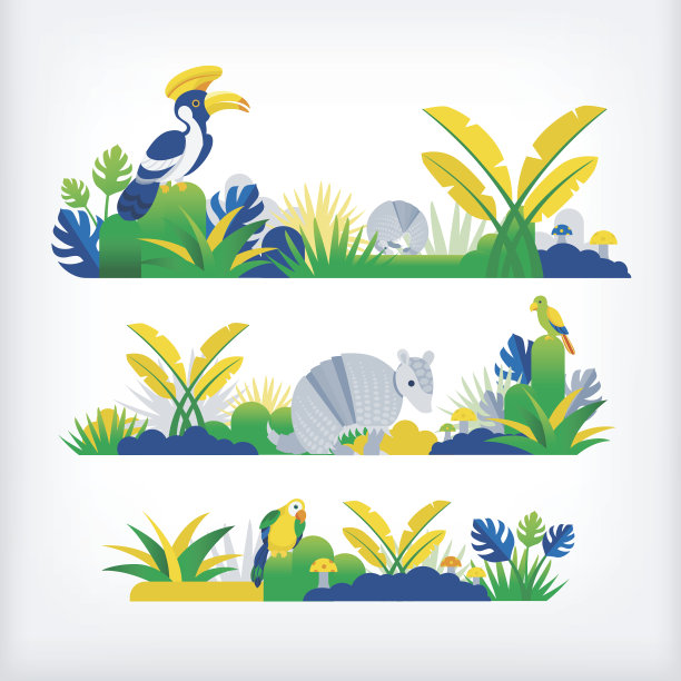 在巴西丛林图片下载