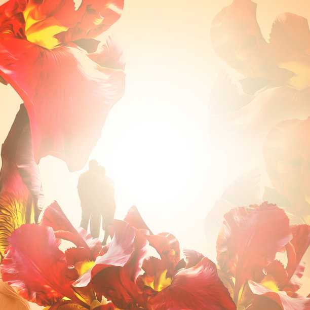 婚礼卡片上的紫须鸢尾图片下载