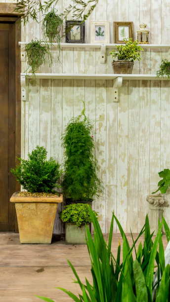 舒适的家中休闲区。图片下载