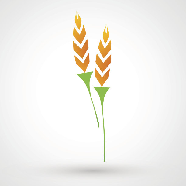 大米图标图片下载