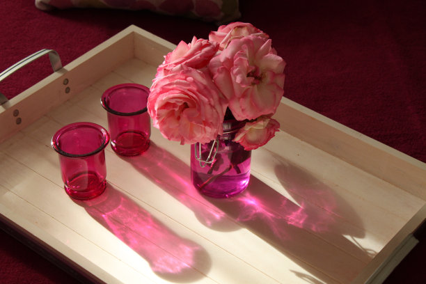 玫瑰，粉红色的花盆和它们的影子图片下载