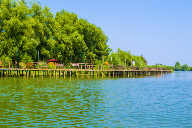阳光明媚的夏日，平静的河流上。农村河流景观图片下载