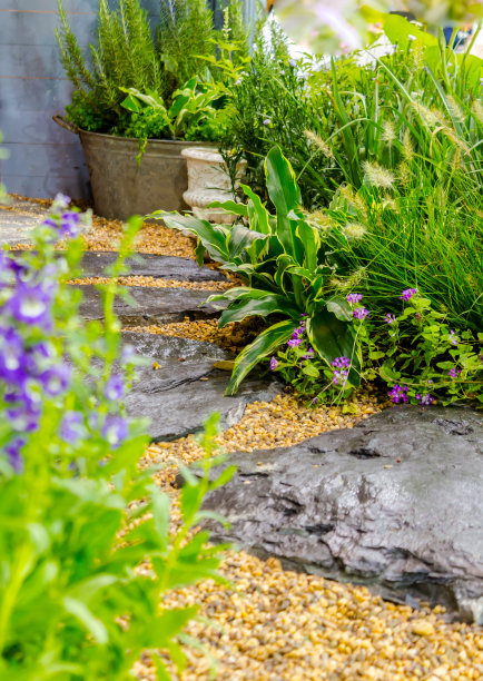 花园里的石头小路。图片下载