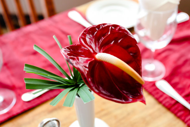 桌上的花图片下载