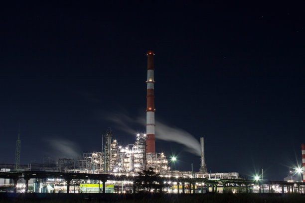 植物和夜灯。图片下载