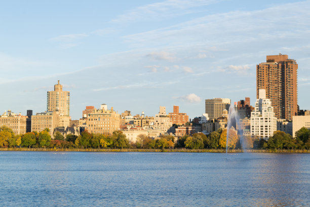 色彩斑斓的树木由UES设计图片下载