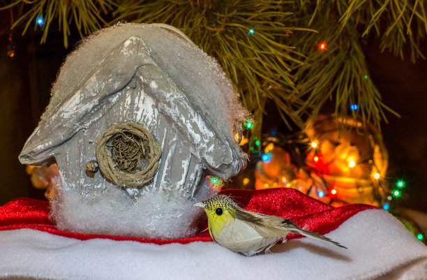 装饰小鸟的小房子图片下载