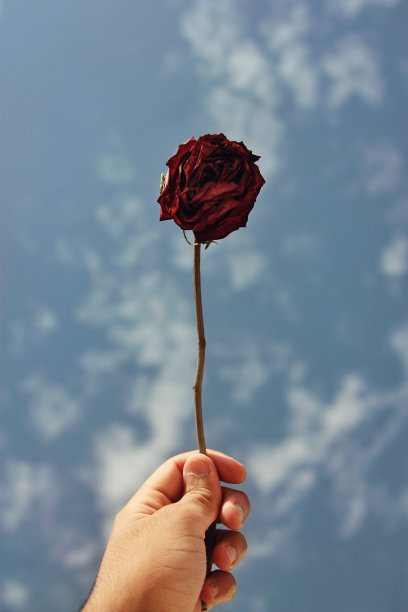 死了,是美丽的图片下载