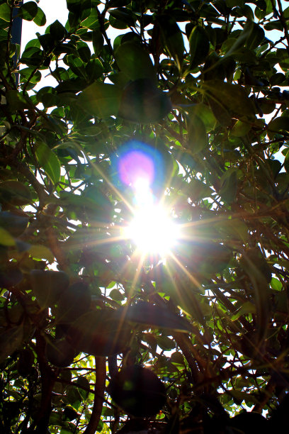 重新启动图片下载