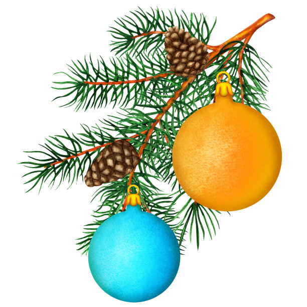 水彩松树树枝，球，球果图片下载