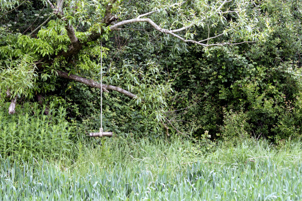 绳秋千图片下载