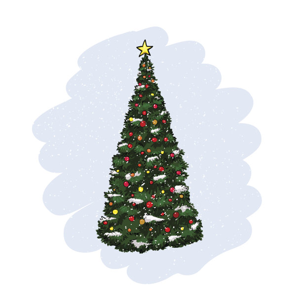 圣诞装饰冷杉图片下载