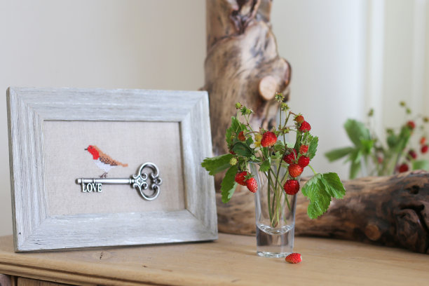 房间的草莓图片下载