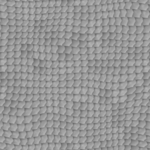 鳞片无缝，蛇皮纹理灰大图片下载