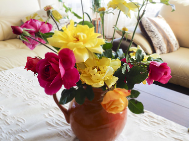 玫瑰背景图片下载