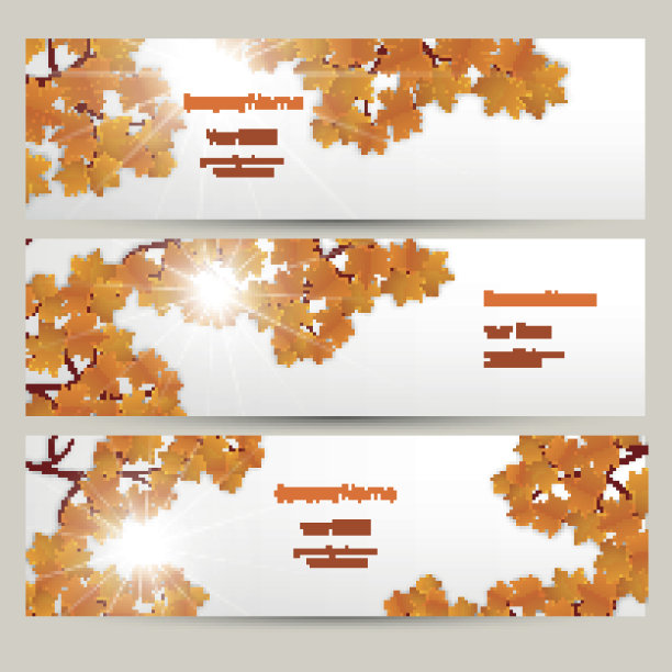 带枫叶的横幅。图片下载