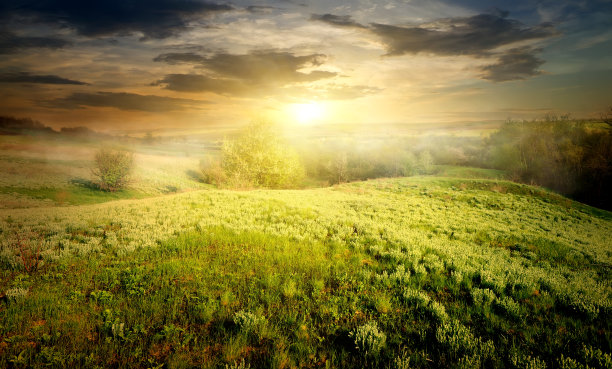 农村在雾中图片下载