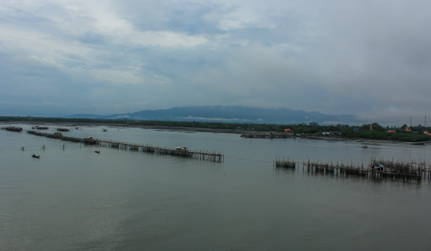 海河口贻贝养殖及渔业。图片下载