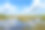 大沼泽国家公园素材图片
