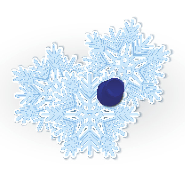 雪花固定矢量图片下载