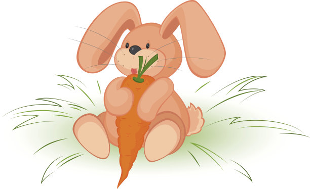 兔子的胡萝卜图片下载